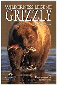 Grizzlies (Paperback)