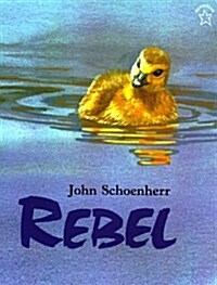 [중고] Rebel (Paperback, Reprint)
