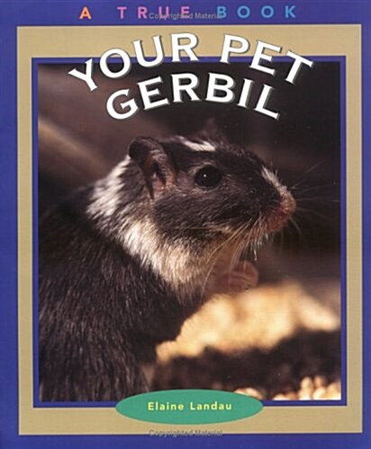 Your Pet Gerbil (Paperback)