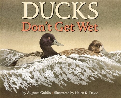 Ducks Dont Get Wet (Hardcover)