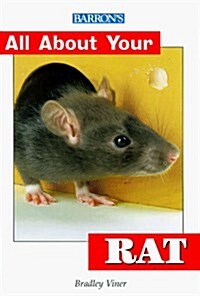All About Your Rat (Paperback)