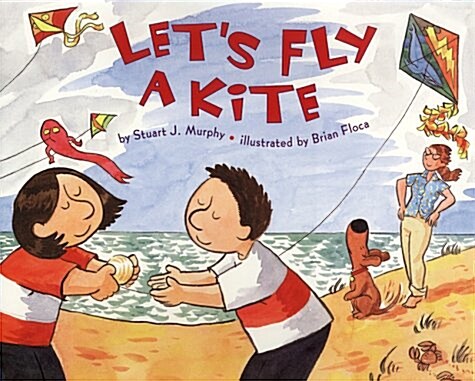 Lets Fly a Kite (Hardcover)