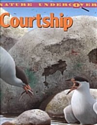 Courtship (Hardcover)