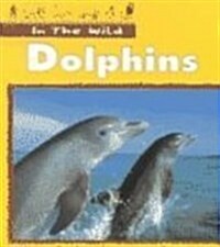 Dolphins (Paperback)