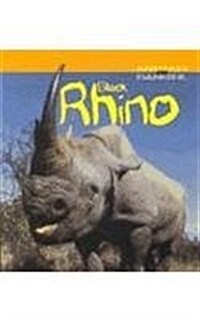 Black Rhino (Paperback)