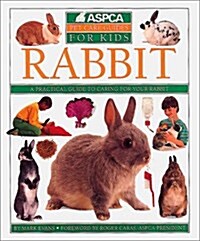 Rabbit (Paperback)