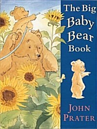 [중고] The Big Baby Bear Book (Hardcover, 1st)