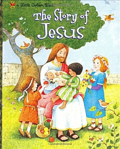 The Story of Jesus (Hardcover)