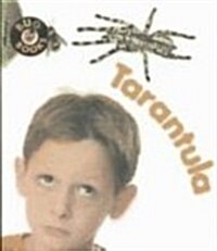 Tarantula (Paperback)