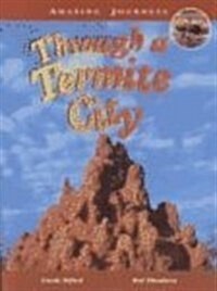 Through a Termite City (Paperback)