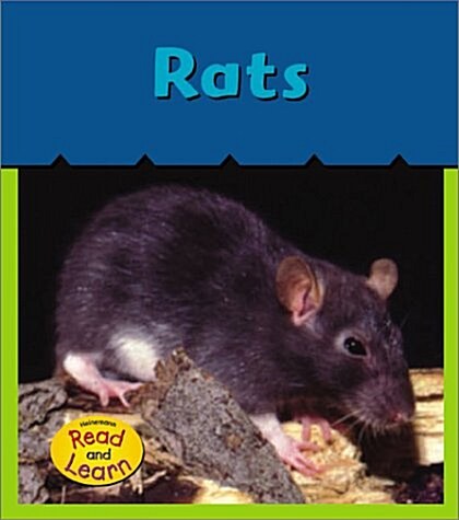 Rats (Paperback)