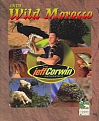 Into Wild Morocco (Paperback)