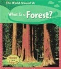 What Is A Forest? (Paperback)