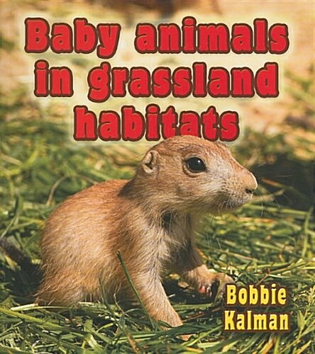 Baby Animals in Grassland Habitats (Paperback)