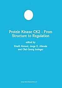 Protein Kinase Ck2 -- From Structure to Regulation (Paperback, Softcover Repri)