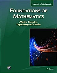 Foundations of Mathematics: Algebra, Geometry, Trigonometry and Calculus (Paperback)