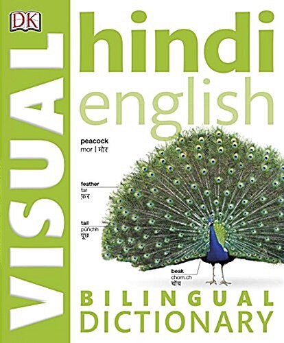 Hindi English Bilingual Visual Dictionary (Paperback)