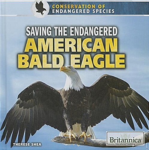 Saving the Endangered American Bald Eagle (Library Binding)