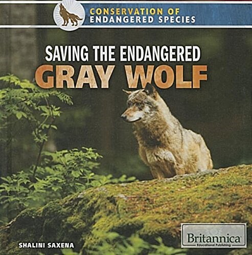 Saving the Endangered Gray Wolf (Library Binding)