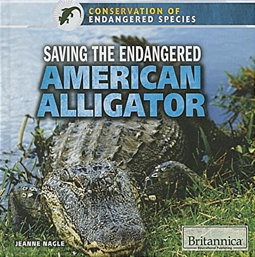 Saving the Endangered American Alligator (Library Binding)