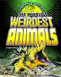 The Worlds Weirdest Animals (Paperback)