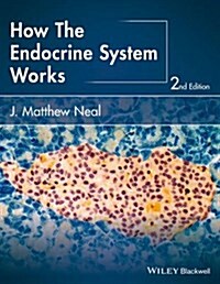 How the Endocrine System Works (Paperback, 2)