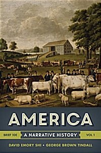 America: A Narrative History (Paperback, 10, Brief)