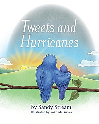 Tweets and Hurricanes (Paperback)