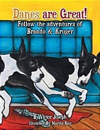 The Sleepover & Its Snowing: Follow the Adventures of Brando and Kruger (Paperback)