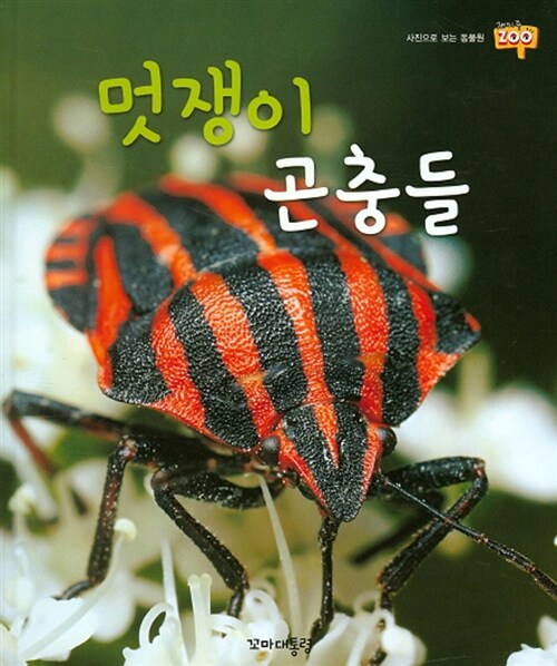 [중고] 멋쟁이 곤충들