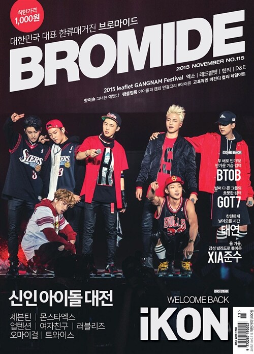 브로마이드 Bromide 2015.11