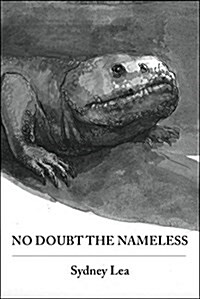 No Doubt the Nameless (Paperback)