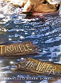 Trouble the Water (Hardcover)
