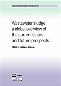 Wastewater Sludge : A Global Overview of the Current Status and Future Prospects (Paperback)