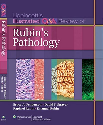 Lippincott Illustrated Q&A Review of Rubins Pathology (Paperback, 2)