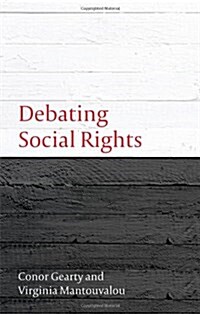 Debating Social Rights (Paperback)