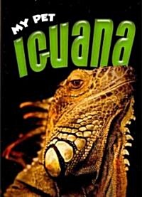 My Pet Iguana (Paperback)