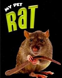 My Pet Rat (Paperback)