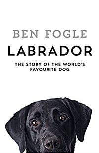 Labrador: The Story of the Worlds Favourite Dog (Paperback)