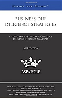 Business Due Diligence Strategies 2015 (Paperback)