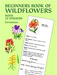 Beginners Book of Wildflowers (Paperback)