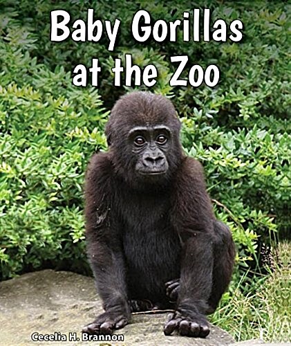 Baby Gorillas at the Zoo (Library Binding)