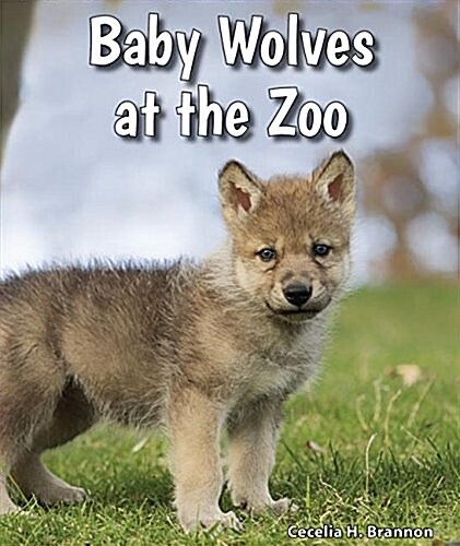 Baby Wolves at the Zoo (Paperback)