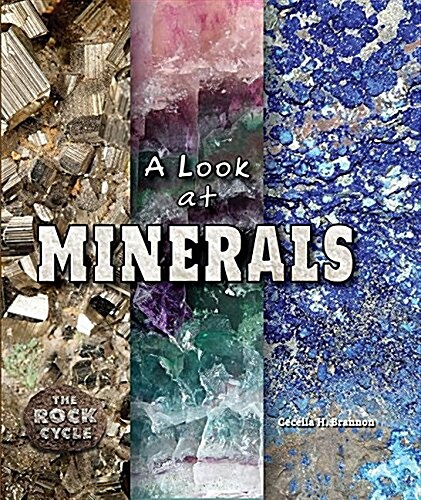 A Look at Minerals (Library Binding)