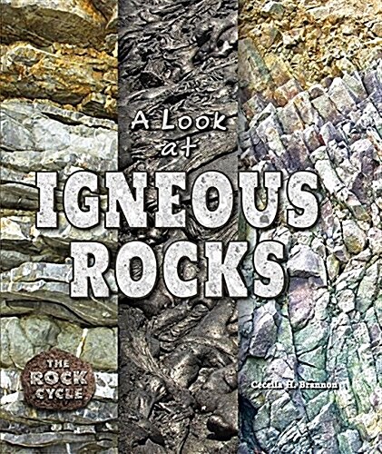 (A look at) Igneous Rocks 표지이미지