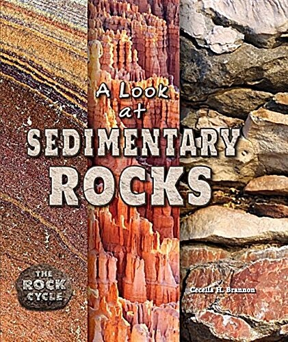 A Look at Sedimentary Rocks (Paperback)