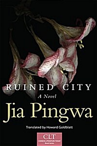 Ruined City, Volume 5 (Paperback)