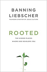 Rooted: The Hidden Places Where God Develops You (Paperback)