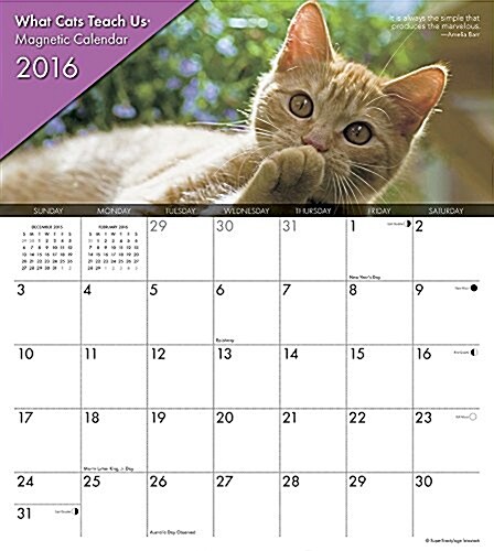 What Cats Teach Us Magnetic 2016 Calendar (Magnet, Wall)