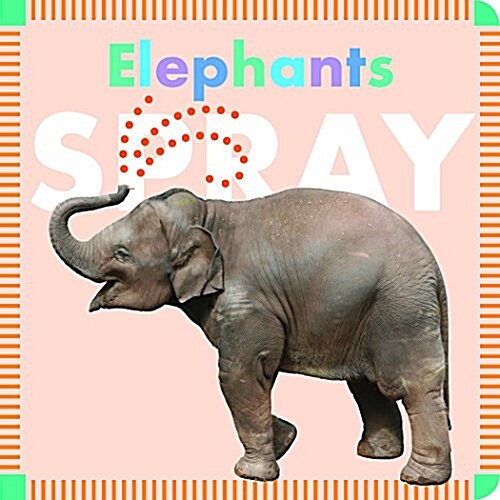 Elephants Spray (Board Books)